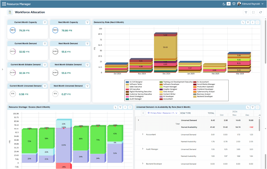Dashboard showing workforce allocation with current and future capacity, demand by role, shortage and excess analysis, and unnamed demand vs. availability data.