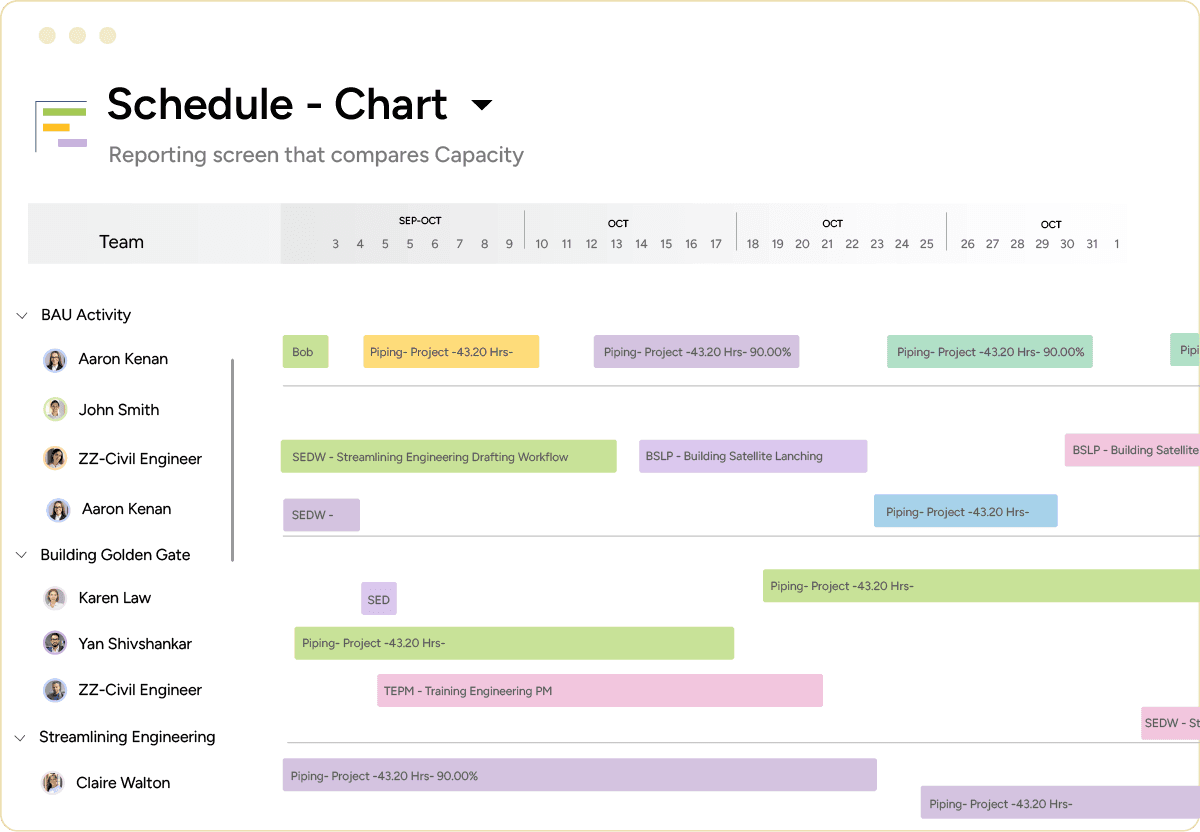 PMO project schedule chart