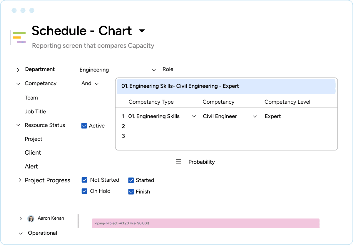 Schedule chart with filtered out competencies of resources for AEC industry