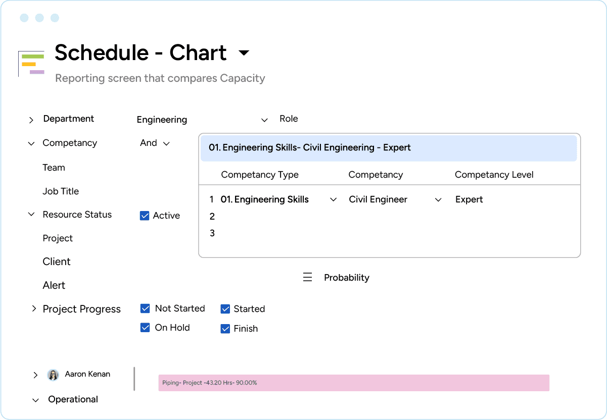 Schedule chart with filtered out competencies of resources for professional industry