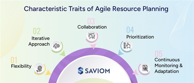 Characteristic Traits of Agile Resource Planning